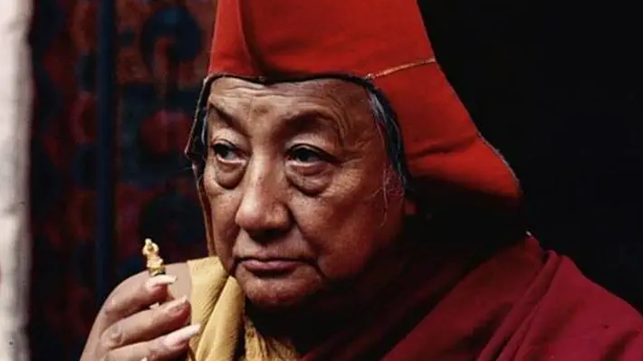 Em resumo, as emoções aflitivas só têm o poder que você lhes dá. Em vez de se entregar a elas vez após vez, livre-se delas completamente, e então a liberação estará a seu alcance. ... (+) ~ Dilgo Khyentse Rinpoche