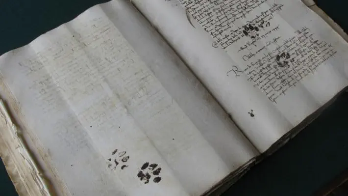But why could a simple photo of cat paw prints on a medieval manuscript become so popular on the Internet?