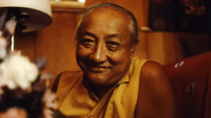 Whatever you are doing, look constantly into the mirror of your mind and check whether your motive is for yourself or for others. Gradually you will develop the ability to master your mind in all circumstances; and by following in the footsteps of the accomplished masters of the past, you will gain enlightenment in a single lifetime. ~ Dilgo Khyentse Rinpoche