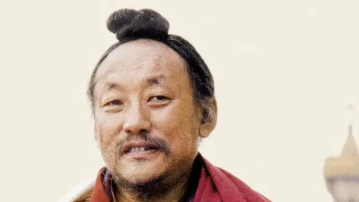 A autobiografia de um lama tibetano. // O Senhor da Dança é a história da vida de Chagdud Tulku Rinpoche no Tibete, da sua fuga da invasão comunista chinesa, dos anos como refugiado na Índia e no Nepal e do retorno para visitar sua terra natal, 28 anos depois. As histórias sobre sua infância capturaram os últimos momentos banhados de sol, os anos de 1930 e 1940, quando a exibição completa dos ensinamentos budistas, particularmente do budismo tibetano Vajrayana, pôde ser praticada livremente, numa cultura rica, que reverenciava seus adeptos espirituais.